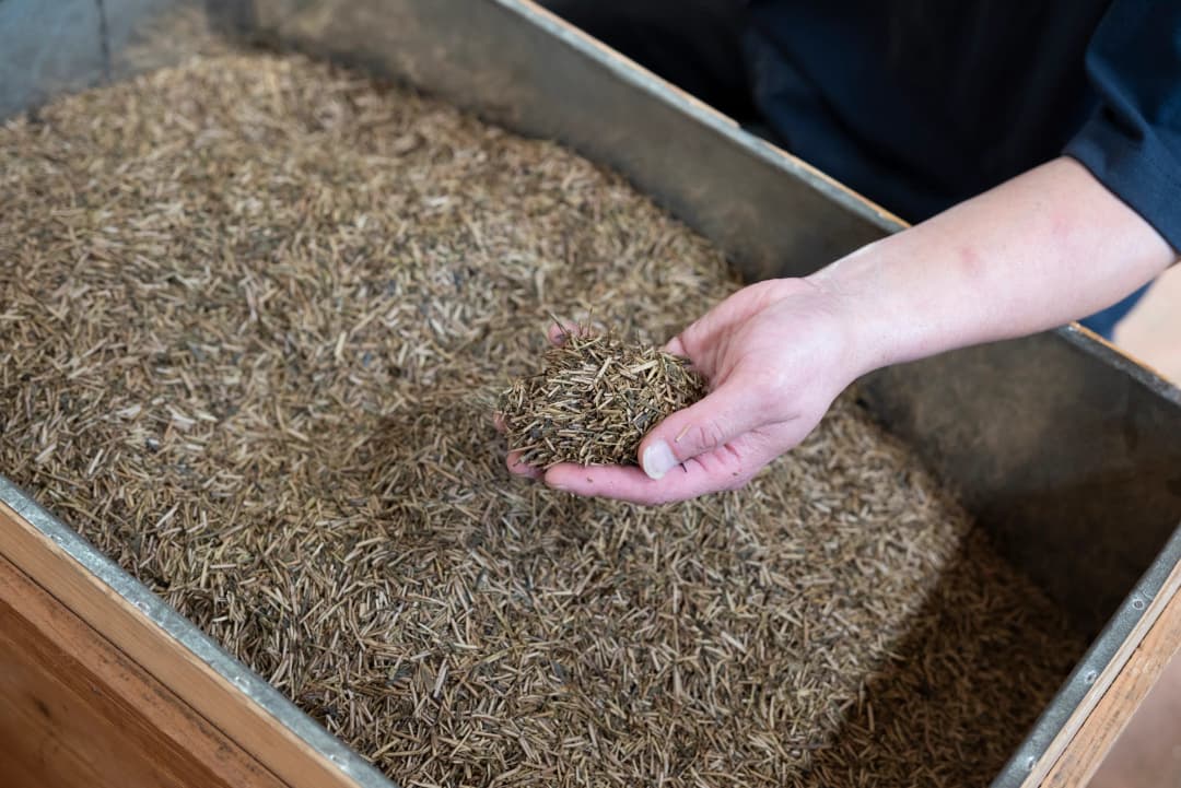 ほうじ茶とともに、これからも能登と歩み続ける