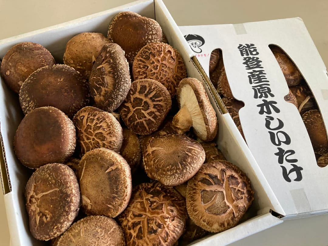 能登の原木しいたけは、地元の人にも大人気