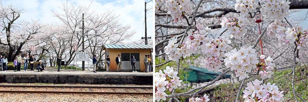 2026年4月、能登鹿島駅(能登さくら駅)で撮影