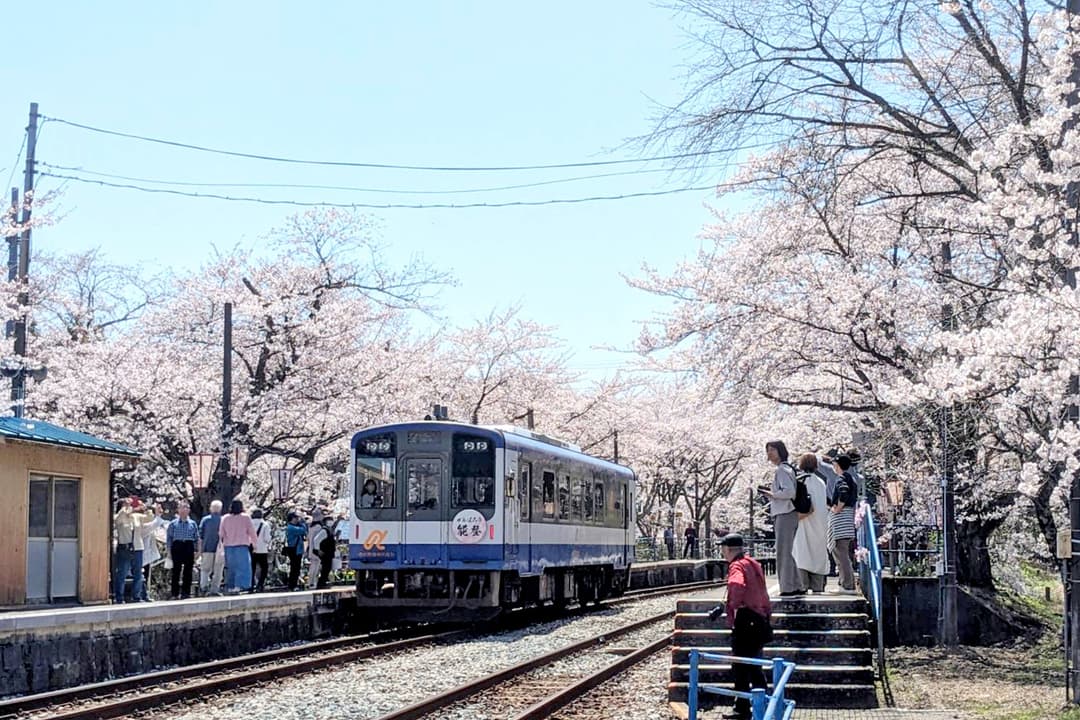 運行再開時には桜のモチーフに「がんばろう能登」のヘッドマークを掲げて運行、能登鹿島駅の満開の桜の下には地元の方々の笑顔も咲いた(画像:のと鉄道提供)