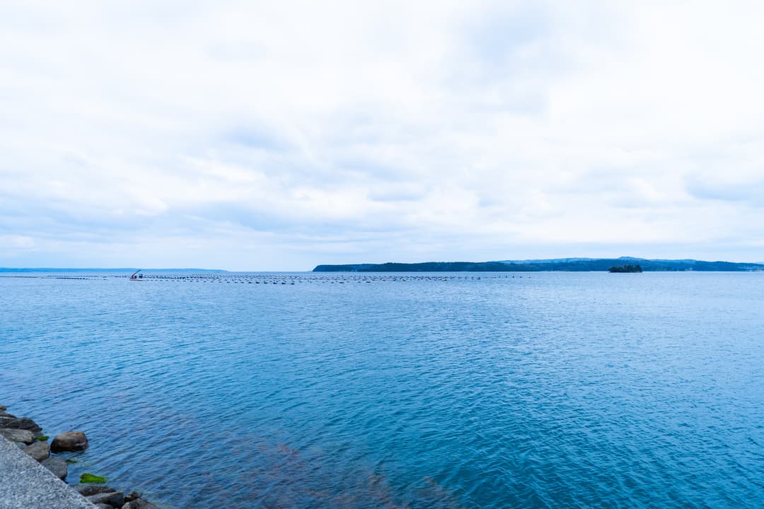 家の目の前には、牡蠣養殖が盛んな七尾北湾の海が広がる