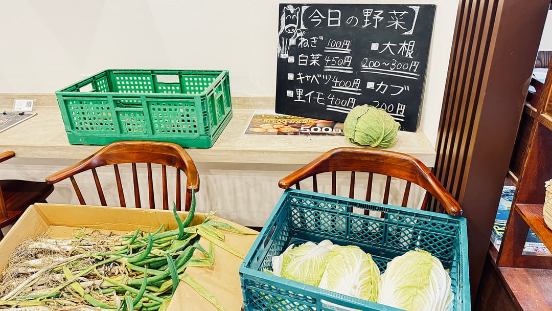 守崎さんが収穫した野菜。お店でも購入できます
