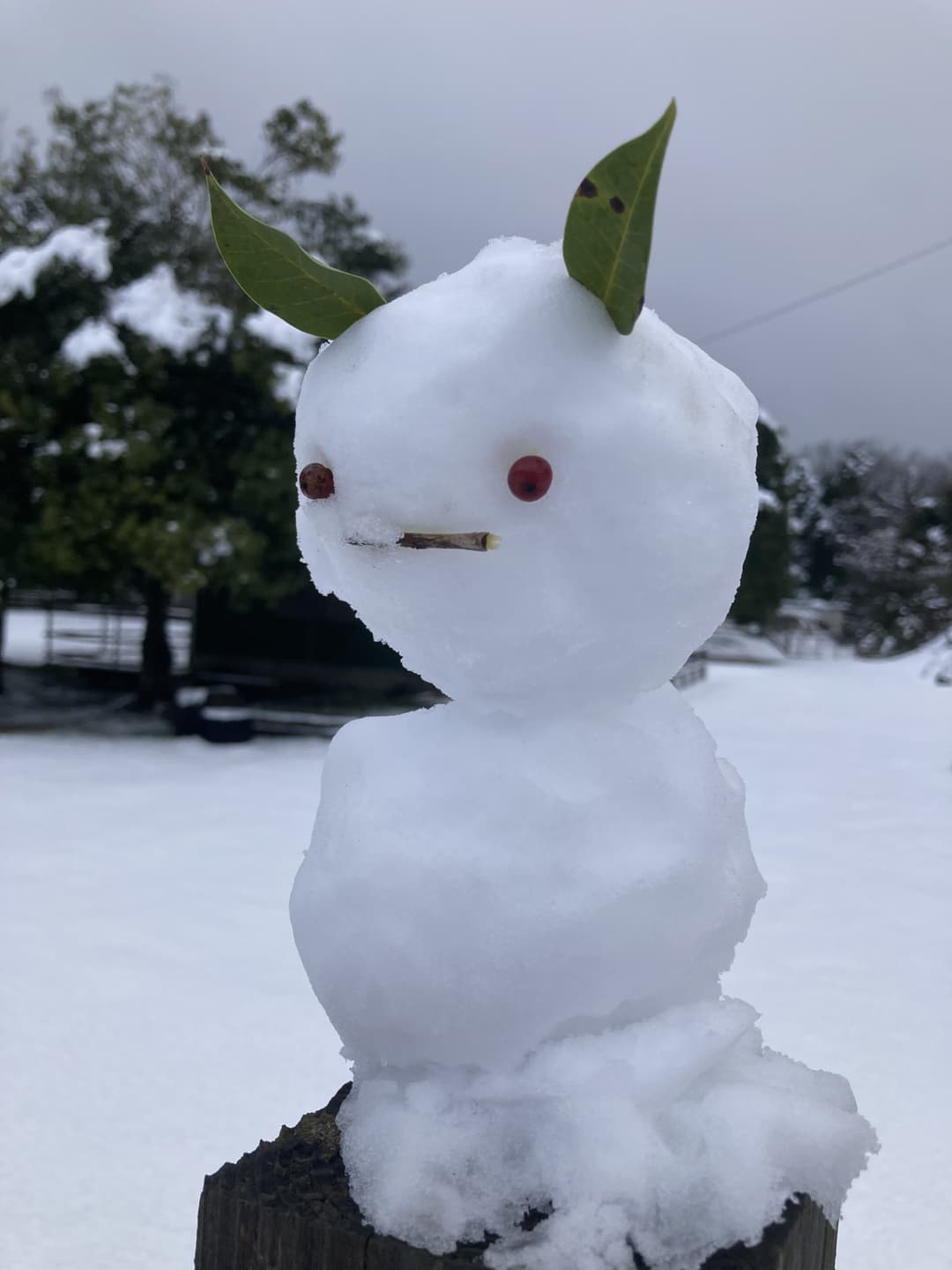 子どもたちが作った「ヤギの雪だるま」