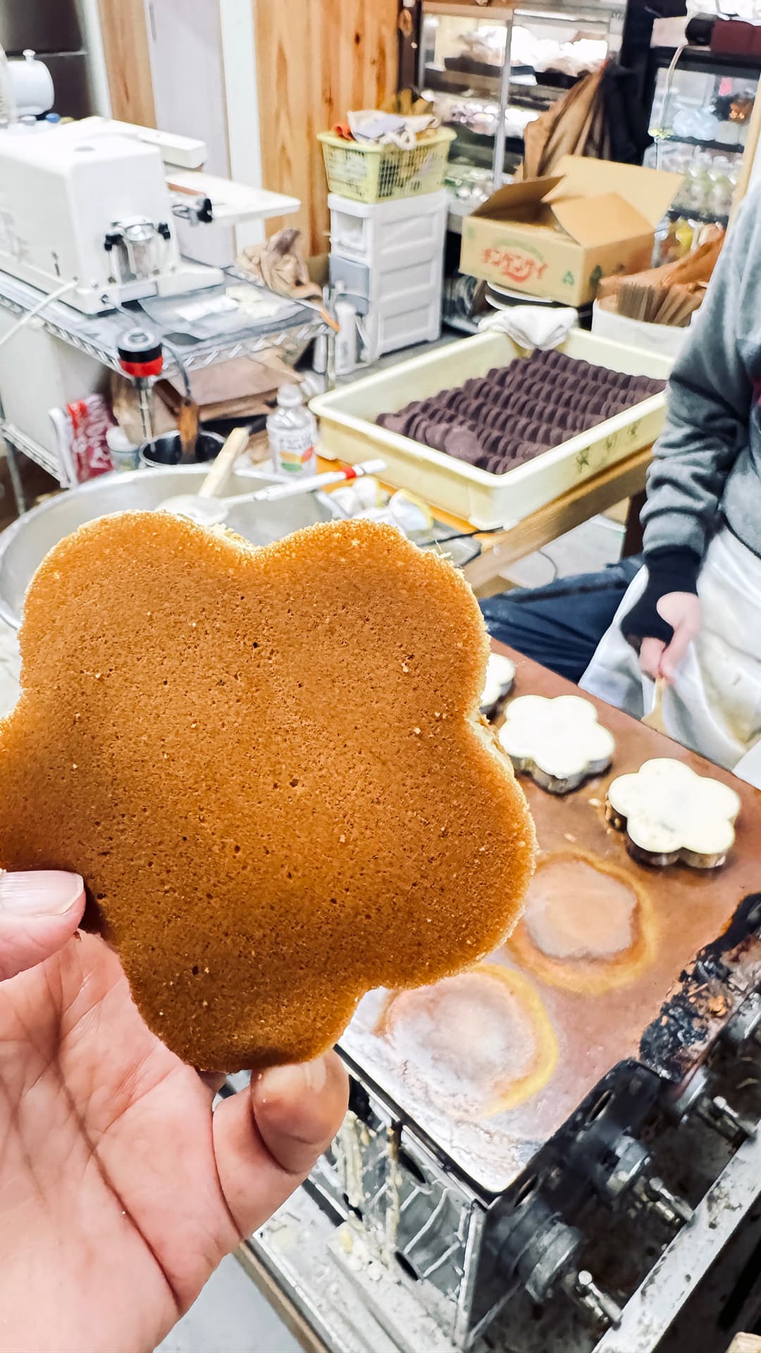 焼きたてのホカホカの太鼓饅頭を特別にいただきました