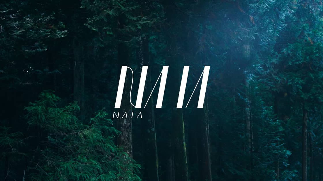 株式会社NAIA